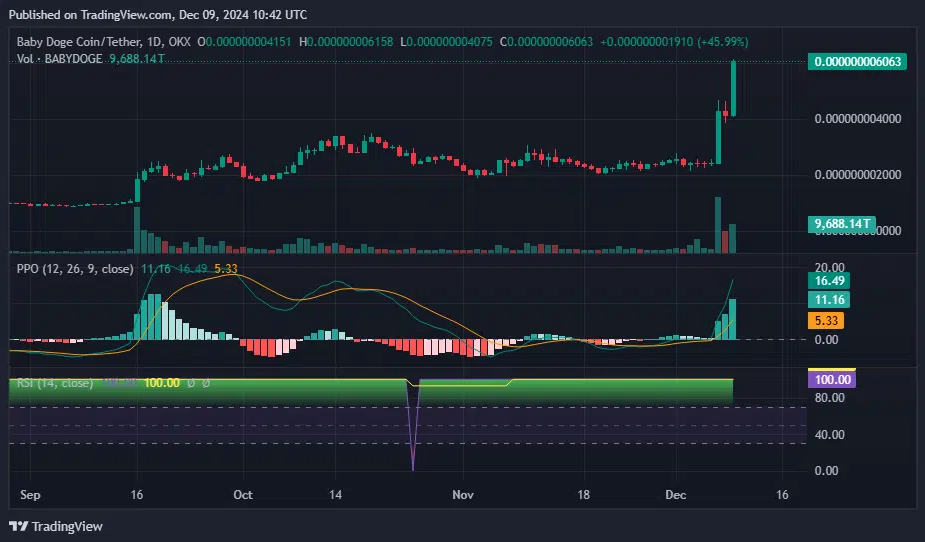 Babydoge PPO and RSI CHART - December 9 | Source: TradingView