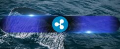 They Knew? These Wallets Loaded Up on XRP Before Ripple’s SEC Win