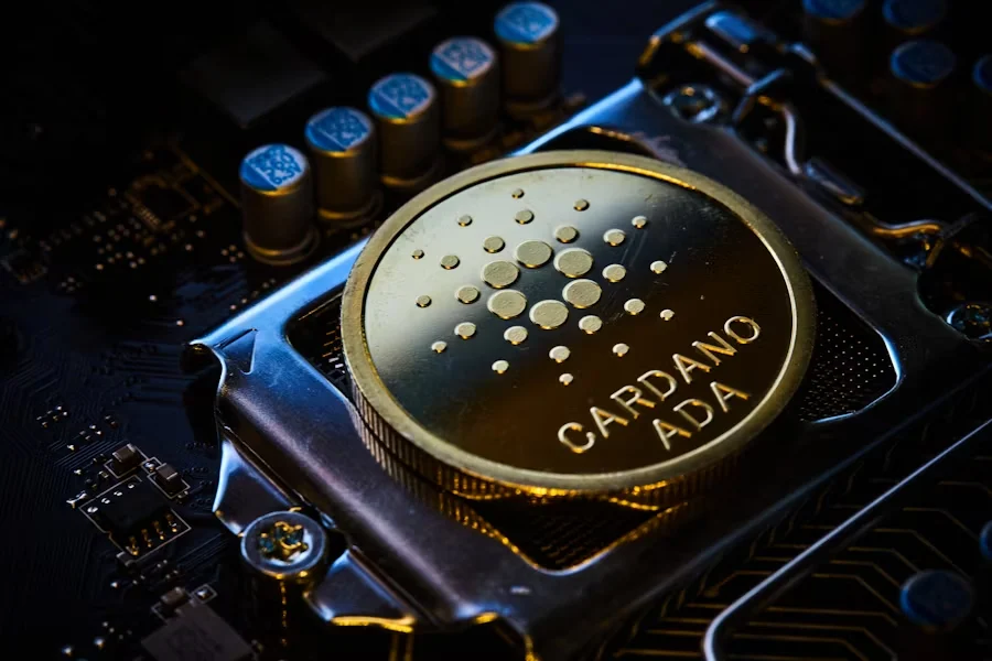 100m BDAG Buyer Battles Create a crazy purchase with Cardano 6 % decrease and chainlink price to $ 13.66 $ 2 dollars Lead