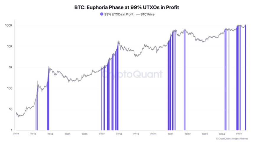 Bitcoin Egity at 99 % UTXOS in profit | Source: Darkfost on X