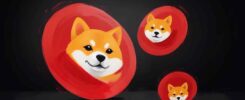 Shiba Inu: Future Price Predictions