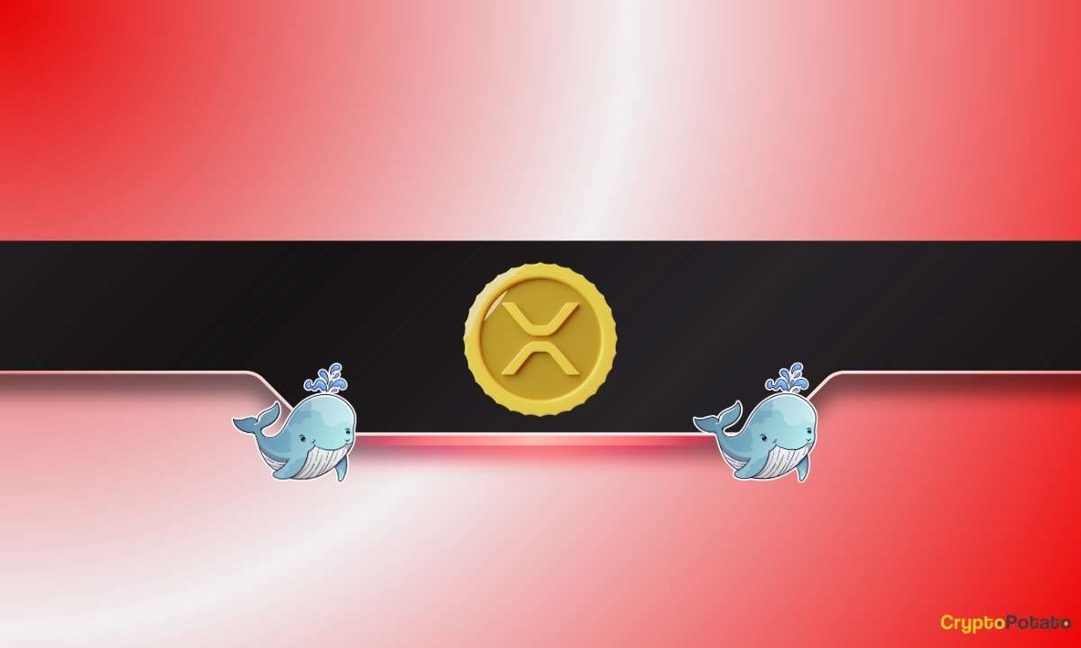 XRP Price Suddenly Drops by 5% as Ripple Whales Offload Tokens