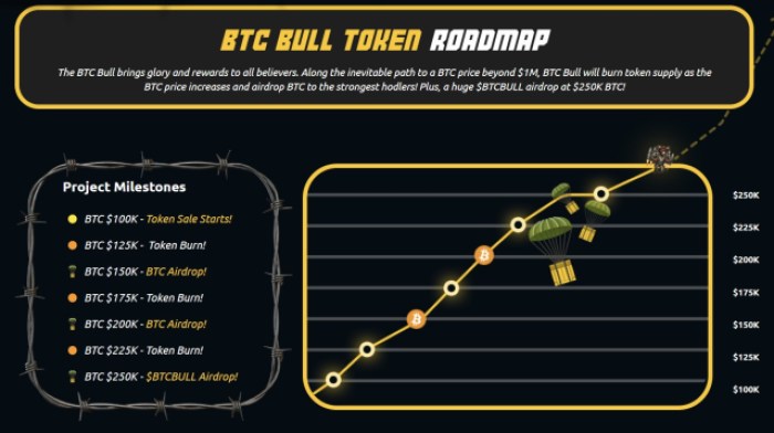 BTC Bull Road Map