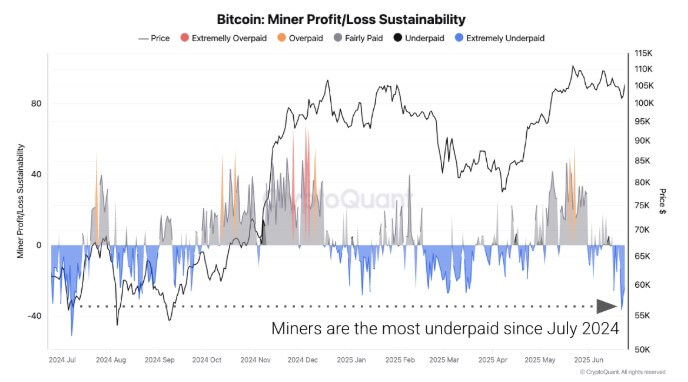Bitcoin Miner profit/loss