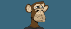 BAYC NFT Floor Falls To 10 ETH – Is It a Good Time to Buy Apes?