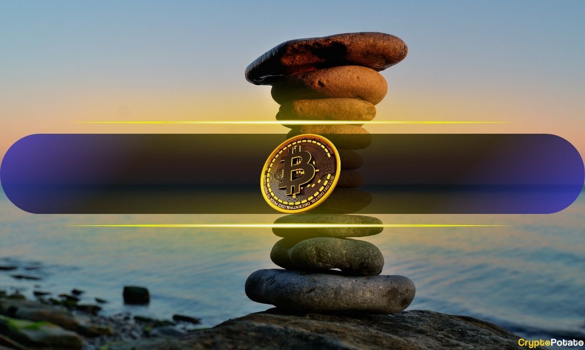 Macro Uncertainty Meets Market Balance in Bitcoin's On-Chain Activity