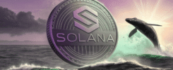 Solana - How THESE levels could define SOL’s next price move