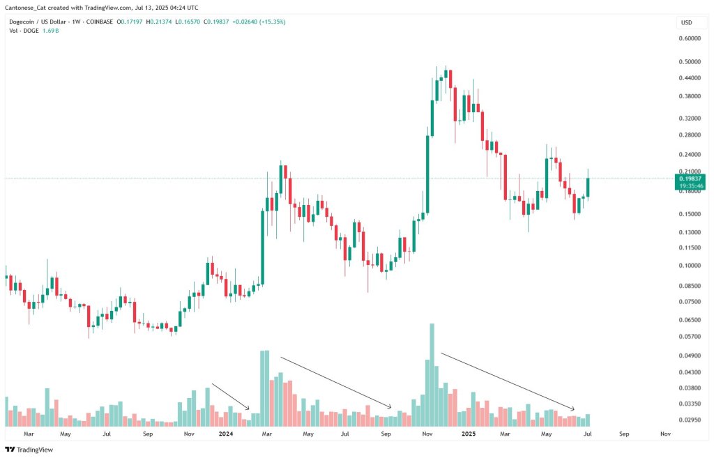 Dogecoin size