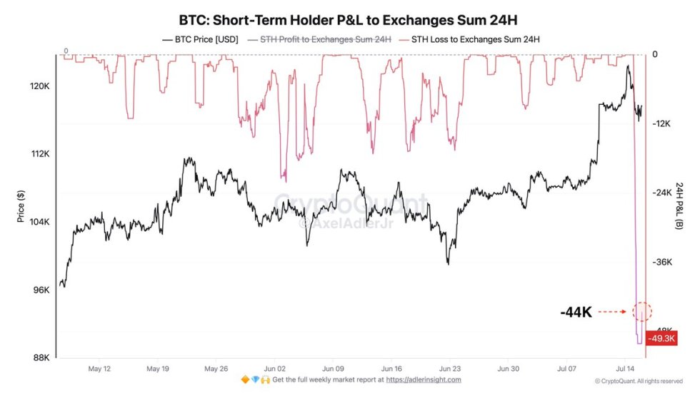 Bitcoin bearer in the short term P & L to exchanges Source: Axel Adler on x