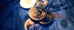 Crypto Chaos Ends: €460 Million Scam Network Taken Down by International Taskforce