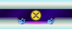 Massive Ripple Whale Accumulation Fuels XRP Surge Toward New ATHs