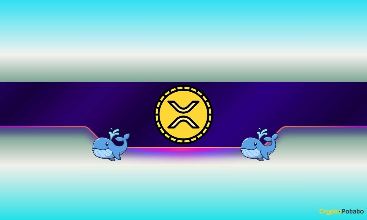 Massive Ripple Whale Accumulation Fuels XRP Surge Toward New ATHs
