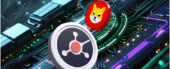Missed Shiba Inu's (SHIB) Over 100x Rally? Don't Miss Out On Ruvi AI's (RUVI) Audited Token, It Might Be Your Second Chance