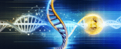 Windtree Therapeutics’ Bold $520M Pivot: From Biotech to Binance Coin Treasury
