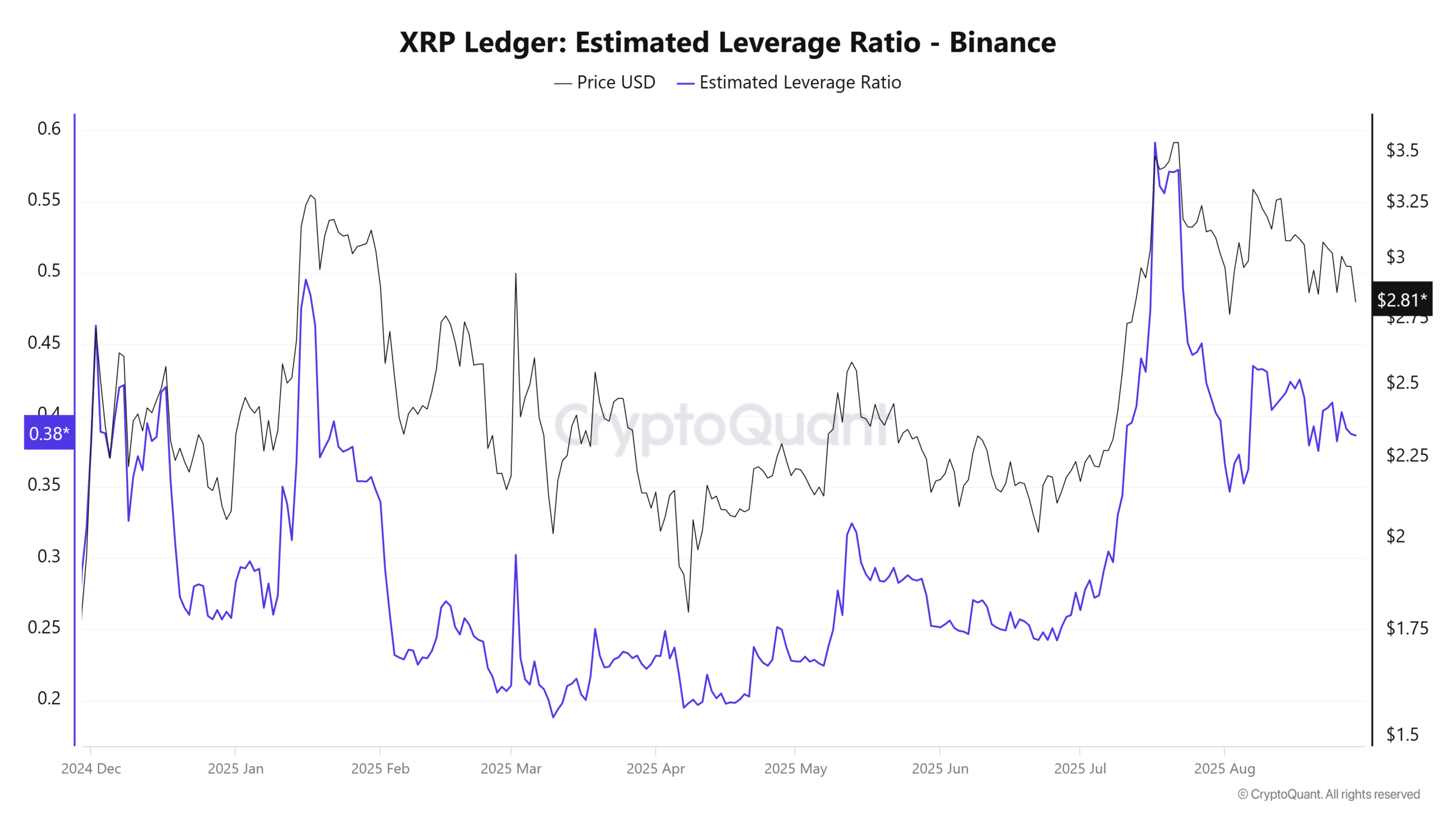XRP financial leverage ratio