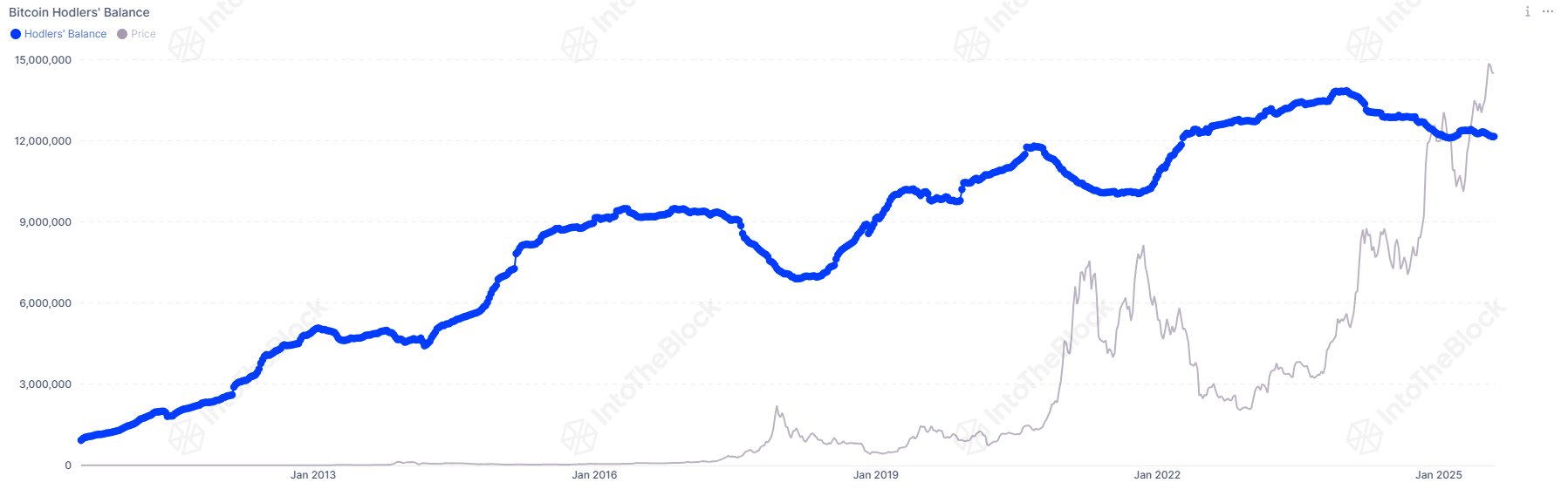 Bitcoin holders in the long run