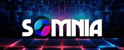 NFT Marketplace Rarible Adds Support For Somnia NFTs