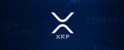 Six asset managers file amendments for spot XRP ETFs as Grayscale adds new S-1