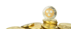 XRP On-Chain Activity Explodes By 500%, What’s Going On?