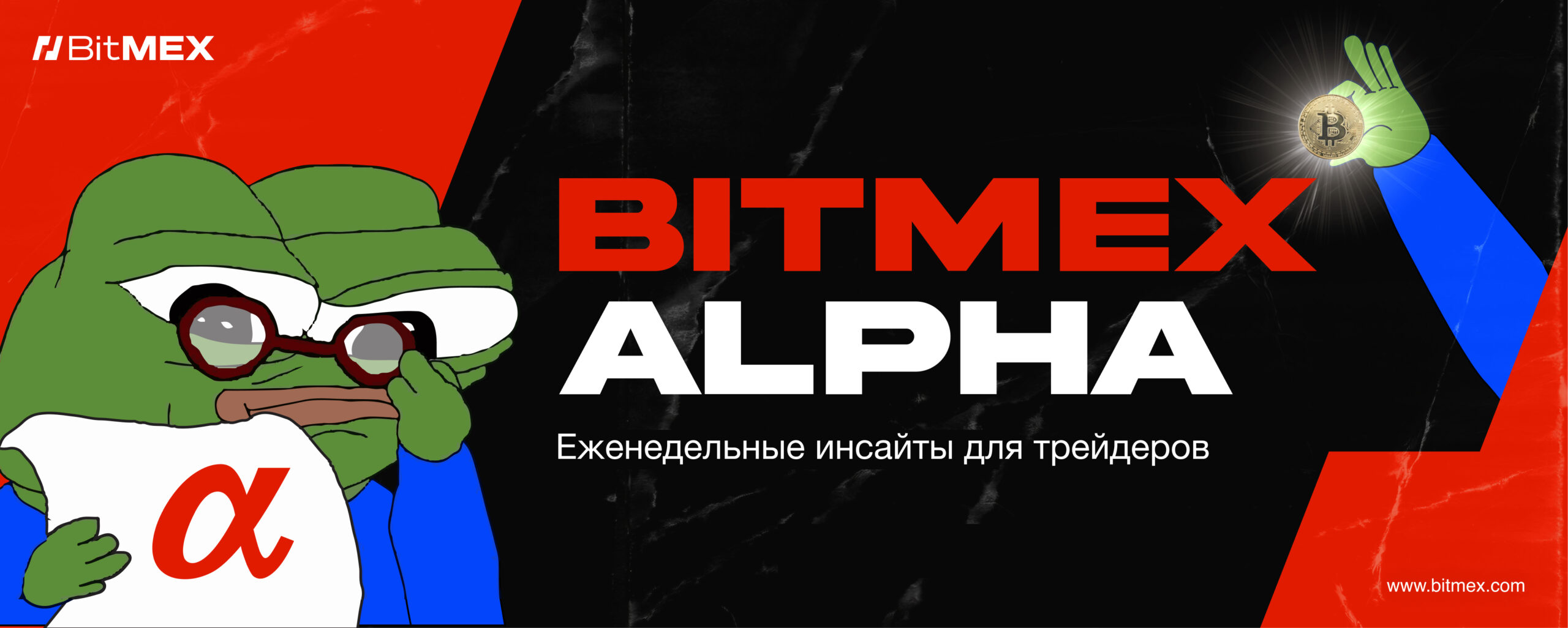 Акции DAT-компаний или криптовалюта: что является лучшей инвестицией?
