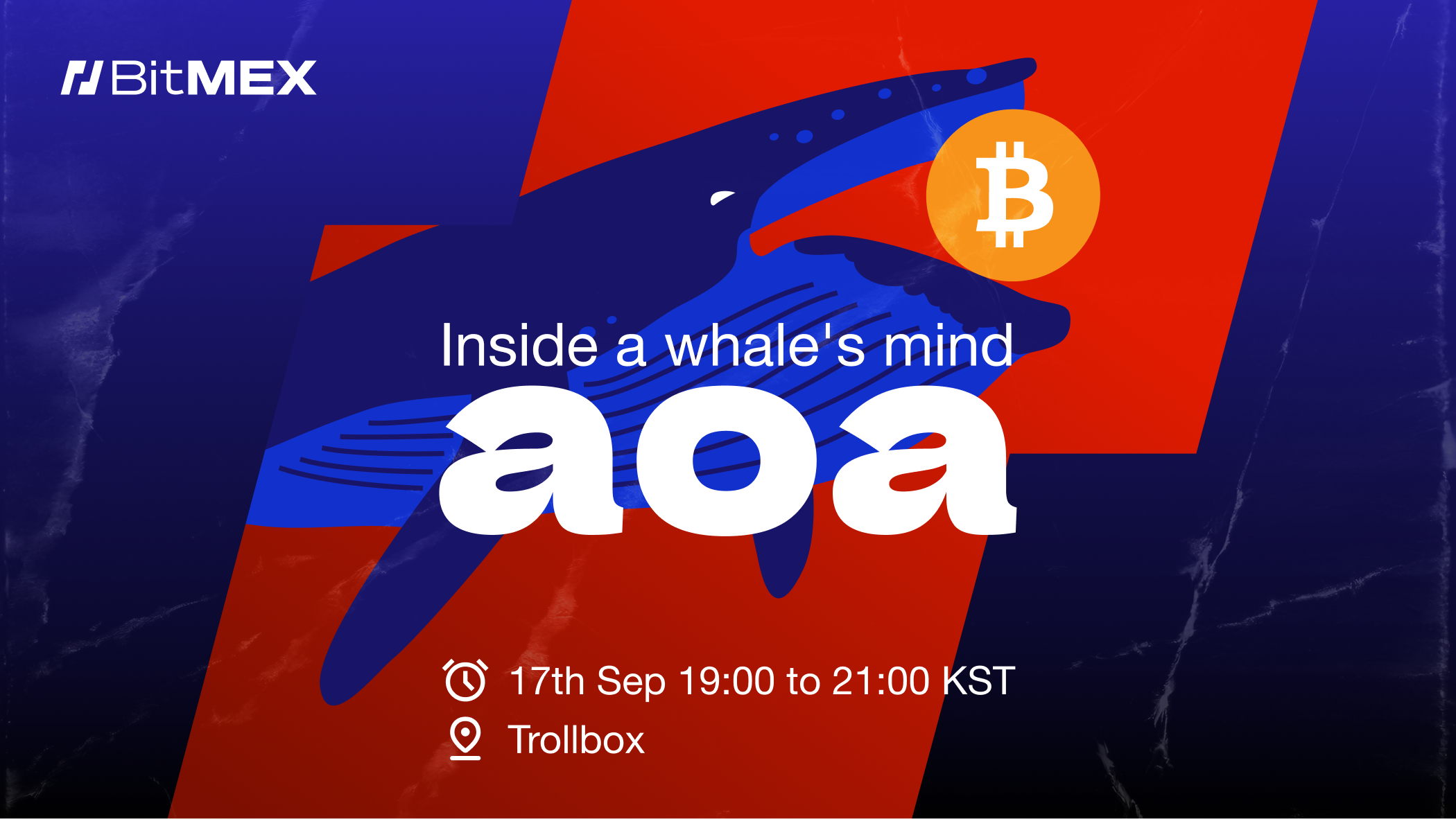 Coming Soon: Exclusive Trollbox AMA with Whale Trader aoa