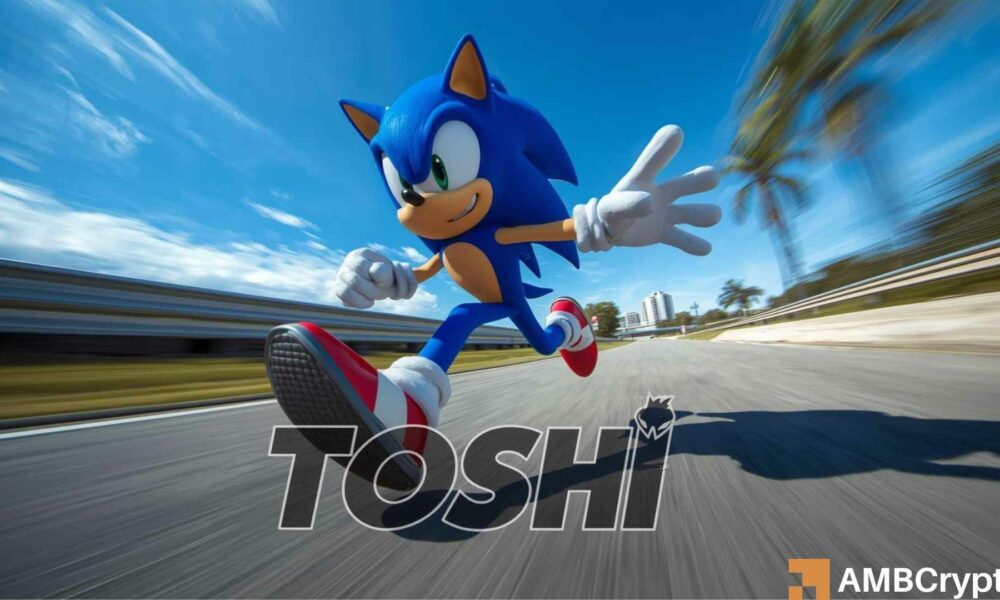 TOSHI price soars 40% in a day - Will the rally hold?