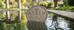 Can Aster’s buyback plan restore market trust after a 57% correction?