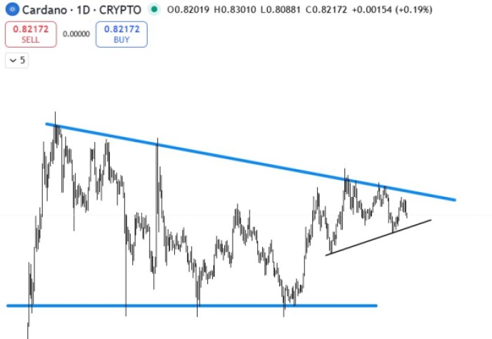 Deepseek of prediction price Cardano $ 2.
