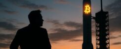 Elon Musk's SpaceX moves $268M in Bitcoin for first time in 3 months