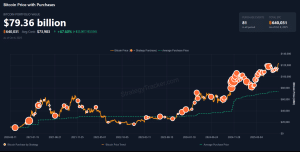Bitcoin strategy holders