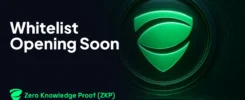 Zero Knowledge Proof Whitelist Coming Soon: The Top Crypto Presale Balancing Privacy and Regulation