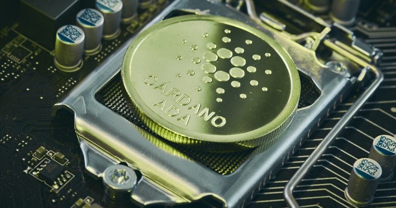 Cardano network recovers after malformed transaction triggers chain partition