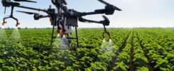 How AI, blockchain and digital platforms are redefining food safety transparency