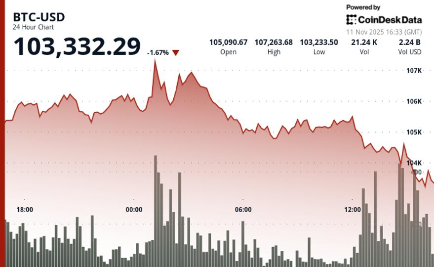 Slips to $103K, SOL, XRP, SUI Down 5% on Profit-Taking