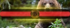 Is Bitcoin Dropping Further? Why Experts Predict One Last Shakeout Before the Rally