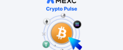 AIOZ Network Investment Analysis: A High-Risk DePIN Protocol