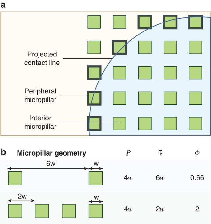 Figure 6: Pinned fraction schematics.