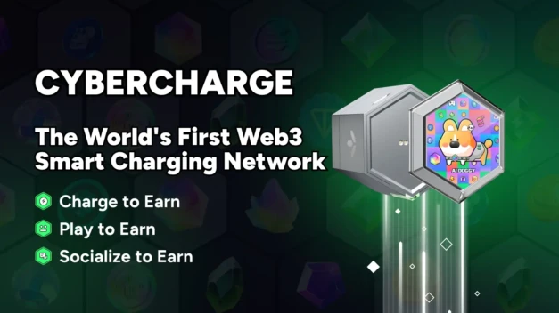 2024 DePIN Sector Insights: Challenge and Solution