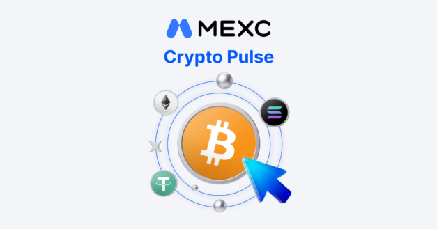 AIOZ Network Investment Analysis: A High-Risk DePIN Protocol