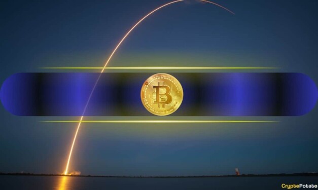 Crypto Fund Manager Spots Repeat of 2020 Bear Trap in Bitcoin's Price