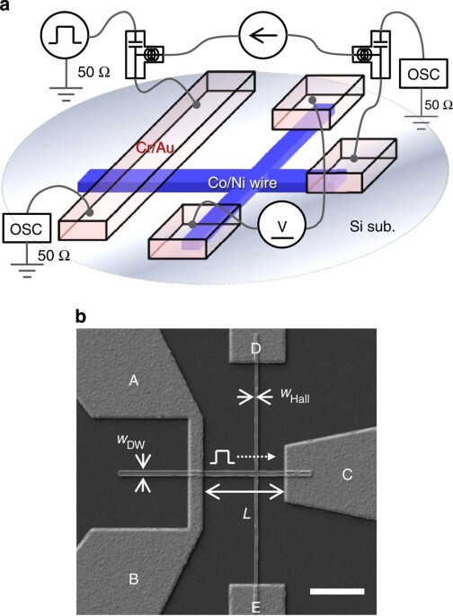 Depinning probability of a magnetic domain wall in nanowires by spin-polarized currents