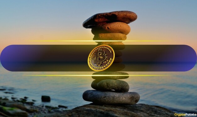 Macro Uncertainty Meets Market Balance in Bitcoin's On-Chain Activity