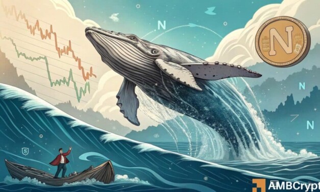  Notcoin's whale activity has soared in transactions & inflows