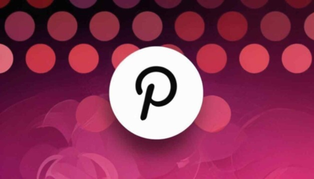 Polkadot's Rise to the Top: A Journey of Innovation