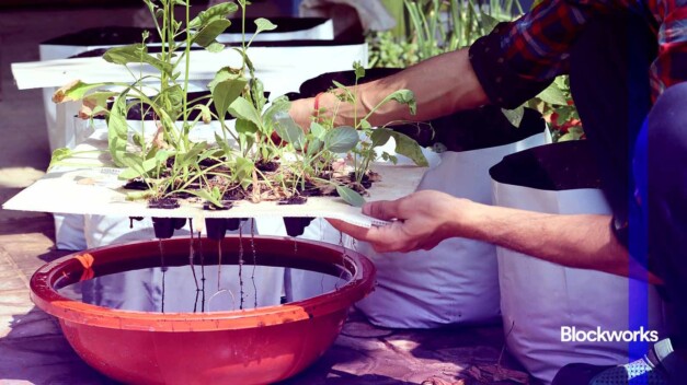 Solana finalists: Ignition Demo Day at Singapore Token2049