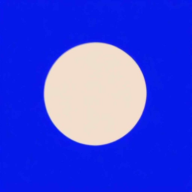 What Is BALD Crypto - Coinlabz