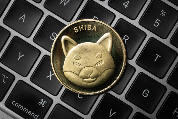 Why The Shiba Inu Consolidation Could End Rapidly With An Explosive Price Rally