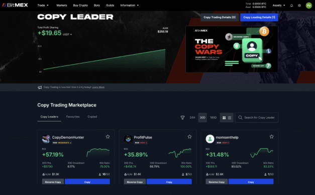 Копитрейдинг для начинающих: пошаговое руководство